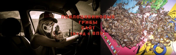 винт Новокубанск