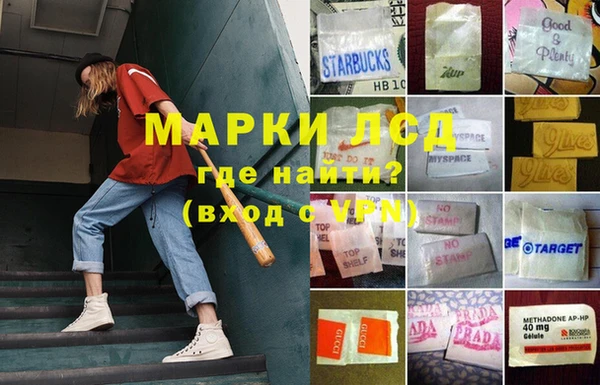 не бодяженный Новозыбков