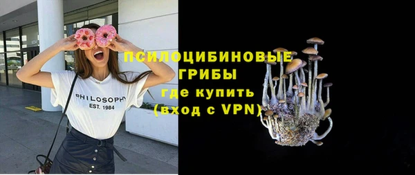 ECSTASY Новодвинск