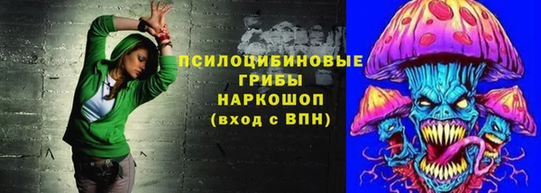 ECSTASY Новодвинск
