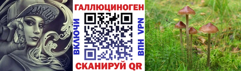 Галлюциногенные грибы ЛСД Шахунья